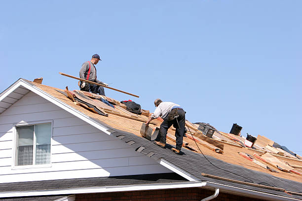 Westville, IL  Roofing repair and installation Company